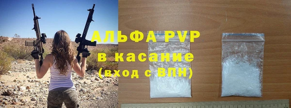 прущие грибы Осташков