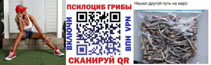 Галлюциногенные грибы ЛСД  Правдинск 