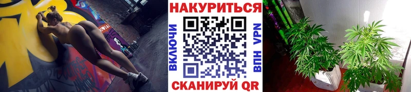 Бошки марихуана гибрид  Правдинск 